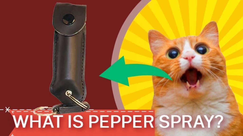 Common Inactive Ingredients Found in Pepper Spray Products