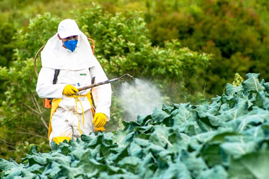 Safety Alert: Avoid Area Immediately After Spraying Pesticides