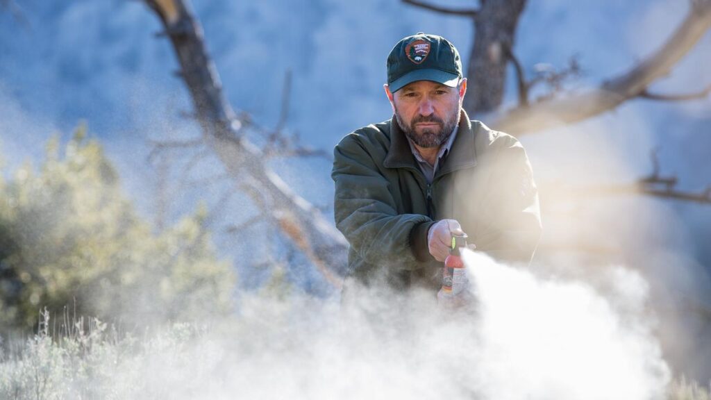 Pepper Spray Rules and Safety Tips for National Parks Visitors