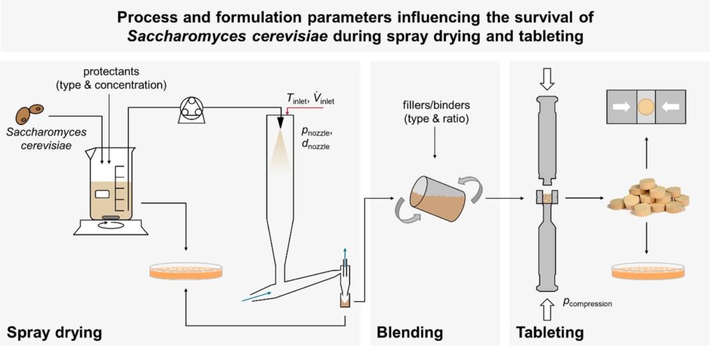 Spray vs. Gel vs. Foam: Choosing the Right Formulation Guide